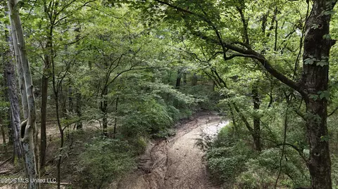 Johns Shiloh Road, Brandon, MS 39042 photo 41