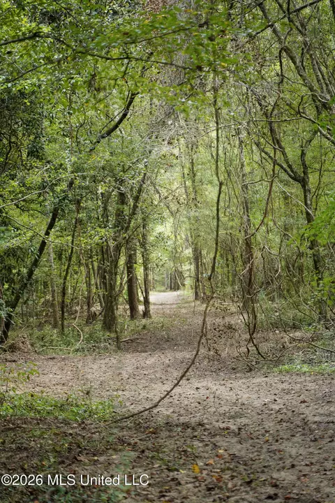 Johns Shiloh Road, Brandon, MS 39042 photo 59
