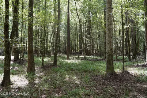 Johns Shiloh Road, Brandon, MS 39042 photo 68