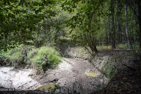 Johns Shiloh Road, Brandon, MS 39042 photo 15