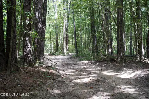 Johns Shiloh Road, Brandon, MS 39042 photo 8