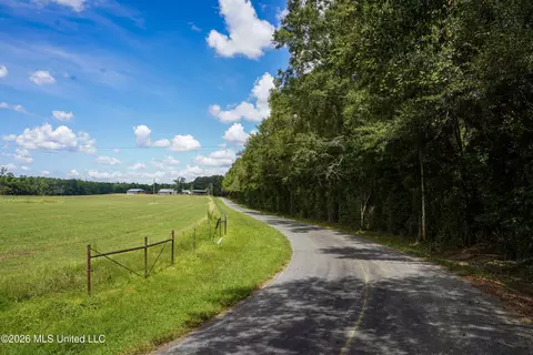 Johns Shiloh Road, Brandon, MS 39042 photo 89
