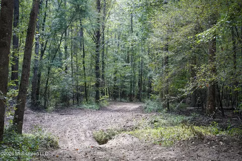 Johns Shiloh Road, Brandon, MS 39042 photo 22