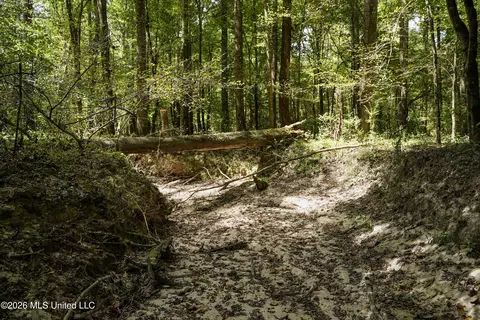Johns Shiloh Road, Brandon, MS 39042 photo 26