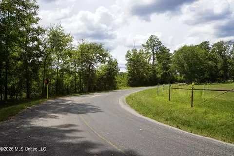 Johns Shiloh Road, Brandon, MS 39042 photo 88