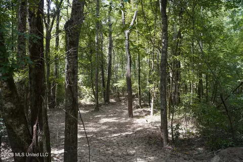 Johns Shiloh Road, Brandon, MS 39042 photo 78