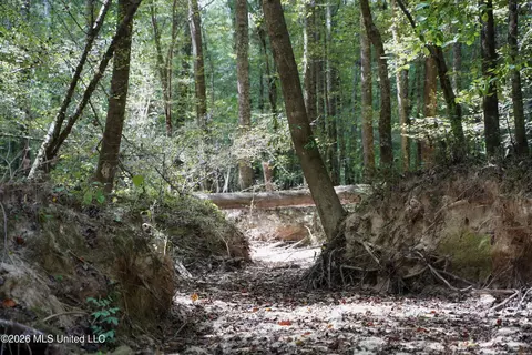 Johns Shiloh Road, Brandon, MS 39042 photo 23