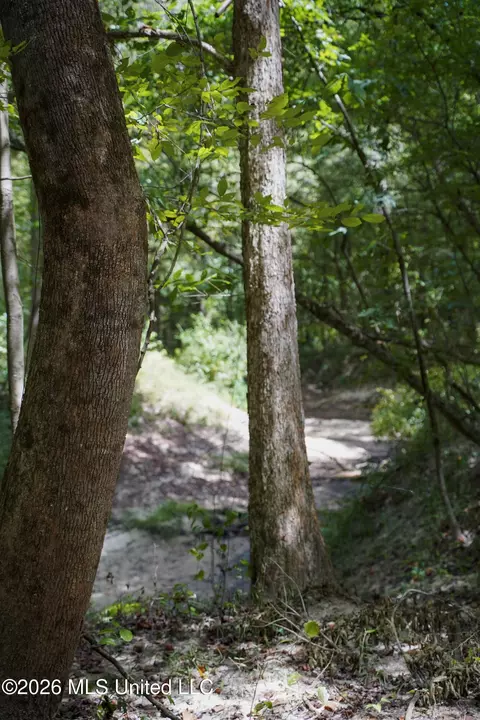 Johns Shiloh Road, Brandon, MS 39042 photo 81