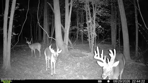 Johns Shiloh Road, Brandon, MS 39042 photo 123