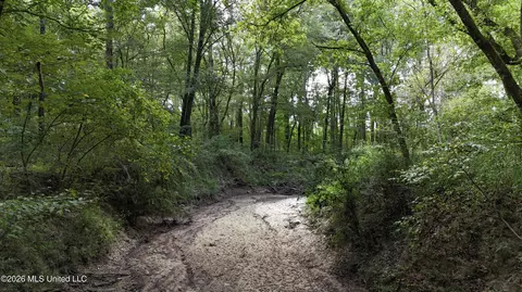 Johns Shiloh Road, Brandon, MS 39042 photo 34