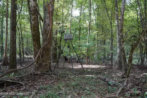 Johns Shiloh Road, Brandon, MS 39042 photo 20