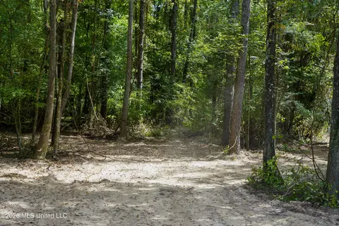 Johns Shiloh Road, Brandon, MS 39042 photo 91