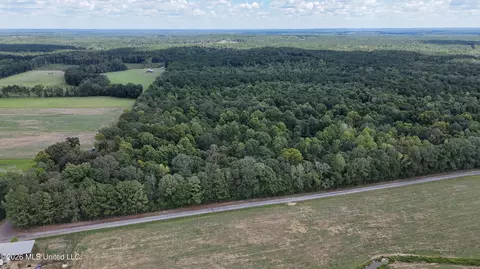 Johns Shiloh Road, Brandon, MS 39042 photo 107