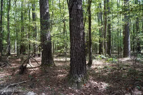 Johns Shiloh Road, Brandon, MS 39042 photo 10
