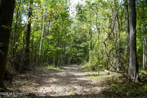 Johns Shiloh Road, Brandon, MS 39042 photo 64