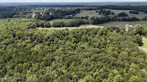 Johns Shiloh Road, Brandon, MS 39042 photo 116