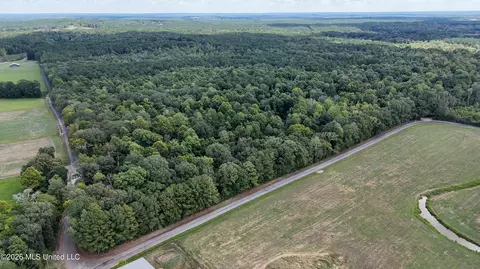 Johns Shiloh Road, Brandon, MS 39042 photo 105