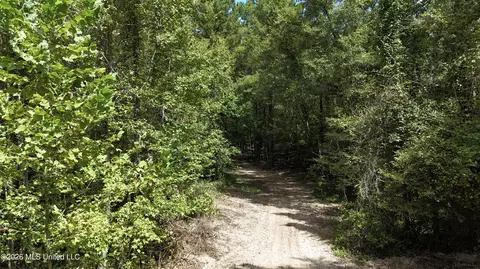 Johns Shiloh Road, Brandon, MS 39042 photo 29
