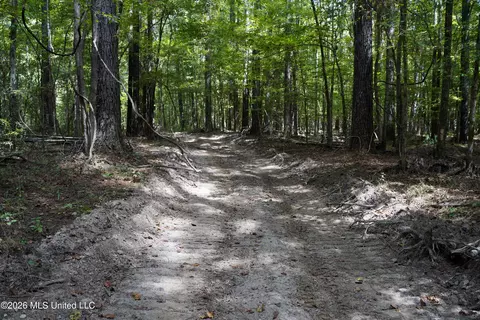 Johns Shiloh Road, Brandon, MS 39042 photo 11