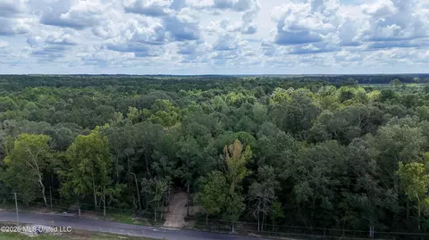 Johns Shiloh Road, Brandon, MS 39042 photo 96