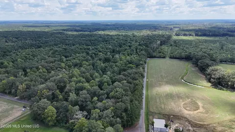 Johns Shiloh Road, Brandon, MS 39042 photo 103