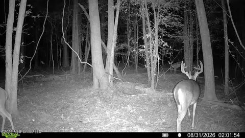 Johns Shiloh Road, Brandon, MS 39042 photo 122