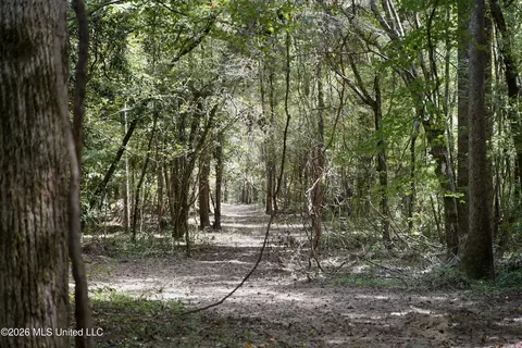Johns Shiloh Road, Brandon, MS 39042 photo 47