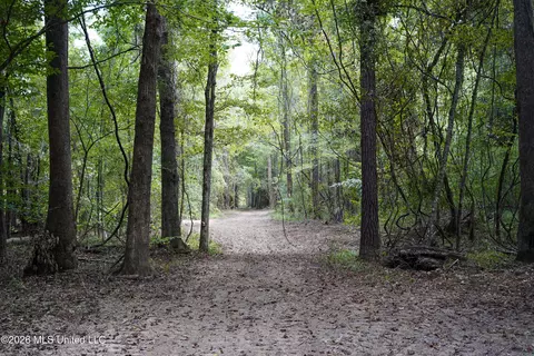 Johns Shiloh Road, Brandon, MS 39042 photo 61
