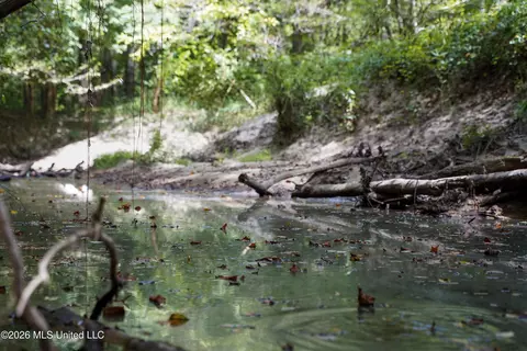 Johns Shiloh Road, Brandon, MS 39042 photo 85