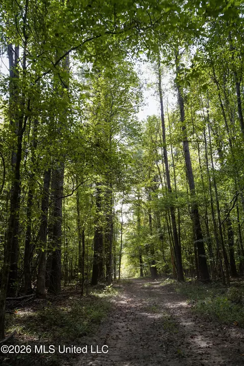 Johns Shiloh Road, Brandon, MS 39042 photo 75