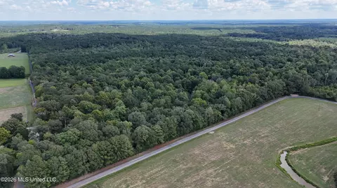 Johns Shiloh Road, Brandon, MS 39042 photo 106
