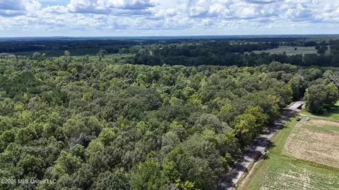 Johns Shiloh Road, Brandon, MS 39042 photo 112