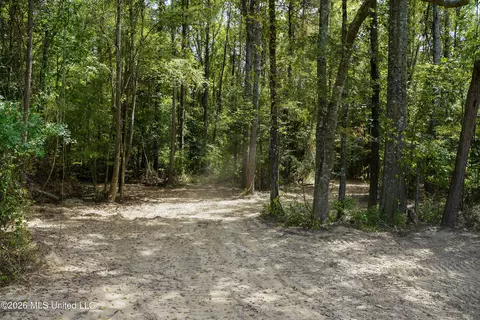 Johns Shiloh Road, Brandon, MS 39042 photo 90