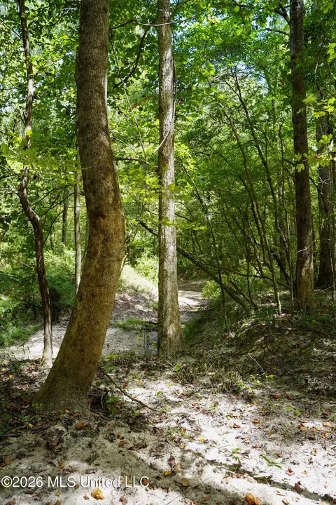 Johns Shiloh Road, Brandon, MS 39042 photo 80