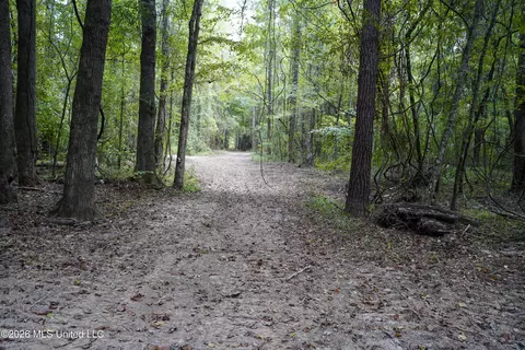 Johns Shiloh Road, Brandon, MS 39042 photo 62