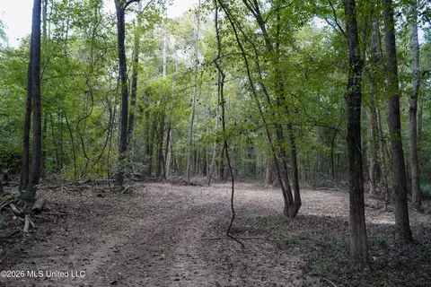 Johns Shiloh Road, Brandon, MS 39042 photo 73