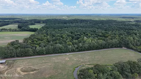 Johns Shiloh Road, Brandon, MS 39042 photo 108