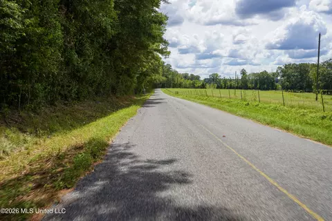 Johns Shiloh Road, Brandon, MS 39042 photo 93