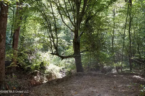 Johns Shiloh Road, Brandon, MS 39042 photo 87