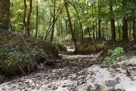 Johns Shiloh Road, Brandon, MS 39042 photo 24