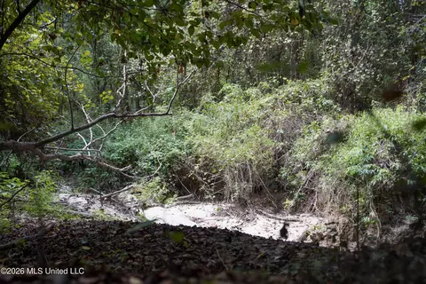 Johns Shiloh Road, Brandon, MS 39042 photo 16