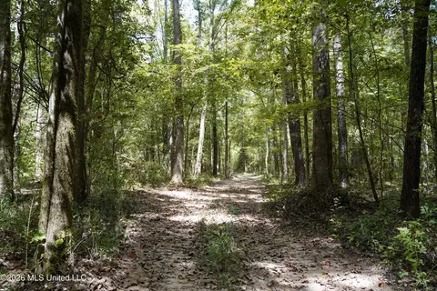 Johns Shiloh Road, Brandon, MS 39042 photo 6