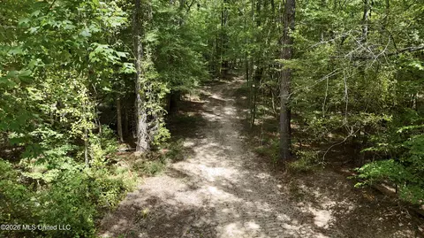 Johns Shiloh Road, Brandon, MS 39042 photo 33