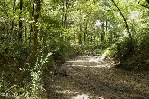 Johns Shiloh Road, Brandon, MS 39042 photo 51