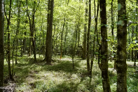 Johns Shiloh Road, Brandon, MS 39042 photo 66
