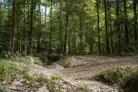 Johns Shiloh Road, Brandon, MS 39042 photo 27
