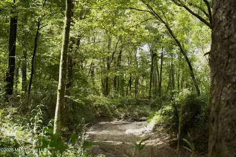 Johns Shiloh Road, Brandon, MS 39042 photo 49