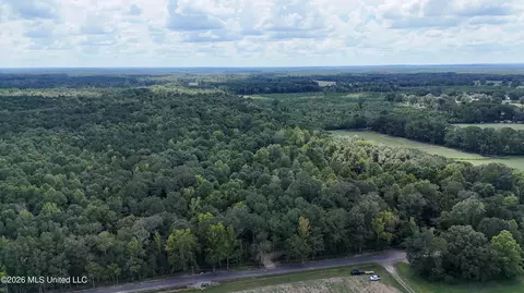 Johns Shiloh Road, Brandon, MS 39042 photo 100