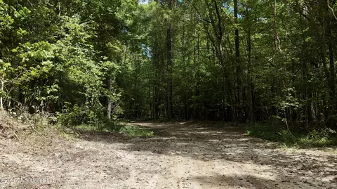 Johns Shiloh Road, Brandon, MS 39042 photo 31