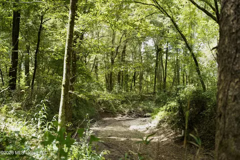Johns Shiloh Road, Brandon, MS 39042 photo 48